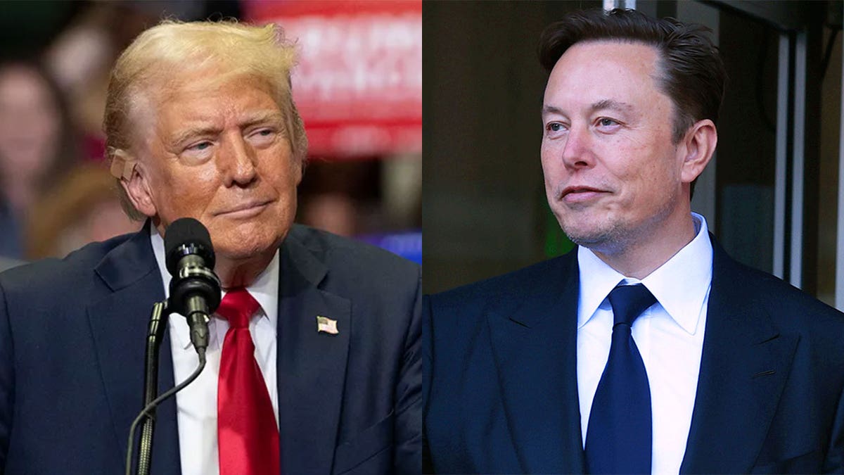 Trump and Elon Musk in left-right photo split