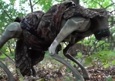 Ukraine shows off capabilities of new drone-dropped, flamethrowing robotic war dogs: video