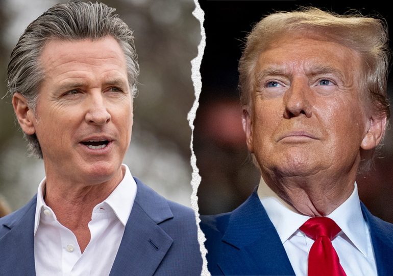 More than 40% of Californians voted for Trump, state 'not as liberal as Newsom' thinks, says expert