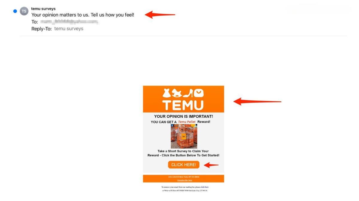 fake temu survey