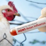 Louisiana reports first bird flu-related human death in US