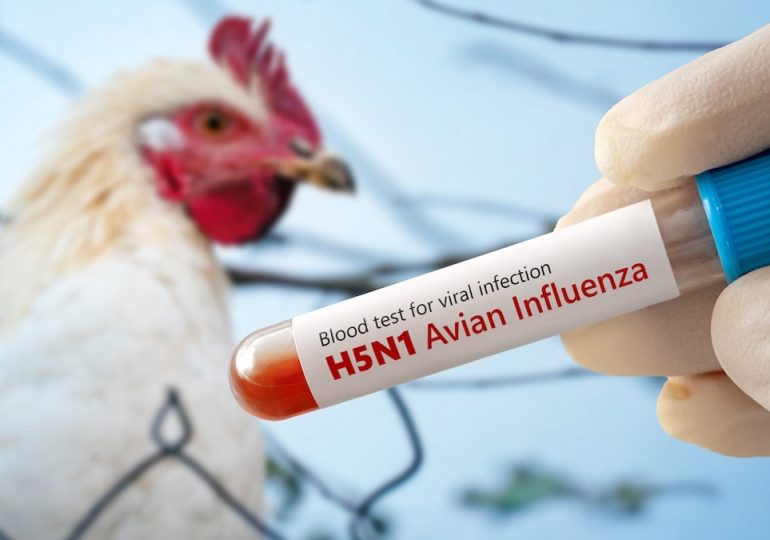 Louisiana reports first bird flu-related human death in US