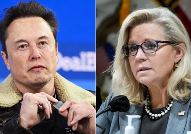 'Damn right': Liz Cheney's past USAID employment faces backlash after lashing out at Elon Musk