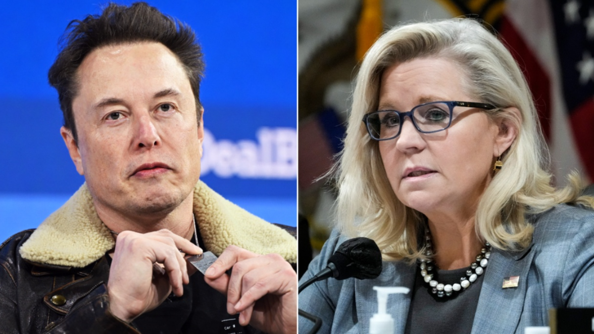 Elon Musk Liz Cheney