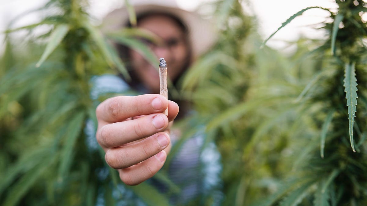 Close up of woman passing marijuana joint