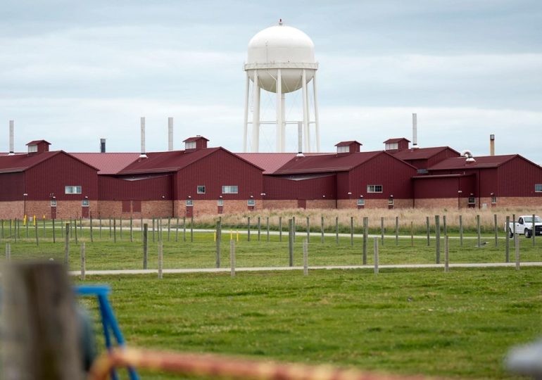 How scientists in Iowa are working to stop the bird flu outbreak infecting US dairy cows