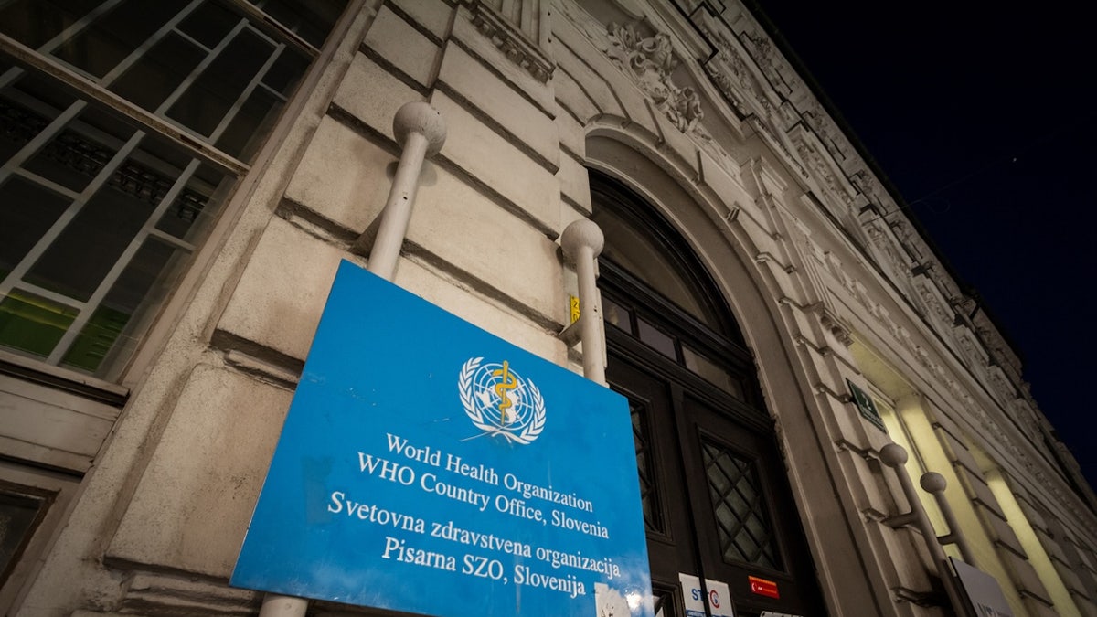 World Health Organization