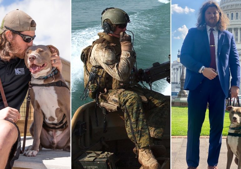 Veterans with PTSD get 'significant' benefits from service dogs, first NIH-funded study finds