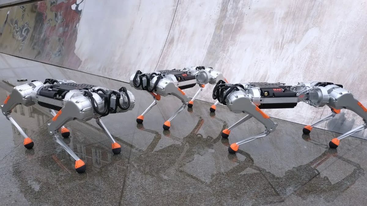 Robot dog is making waves with its underwater skills