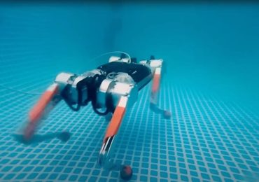 Robot dog is making waves with its underwater skills