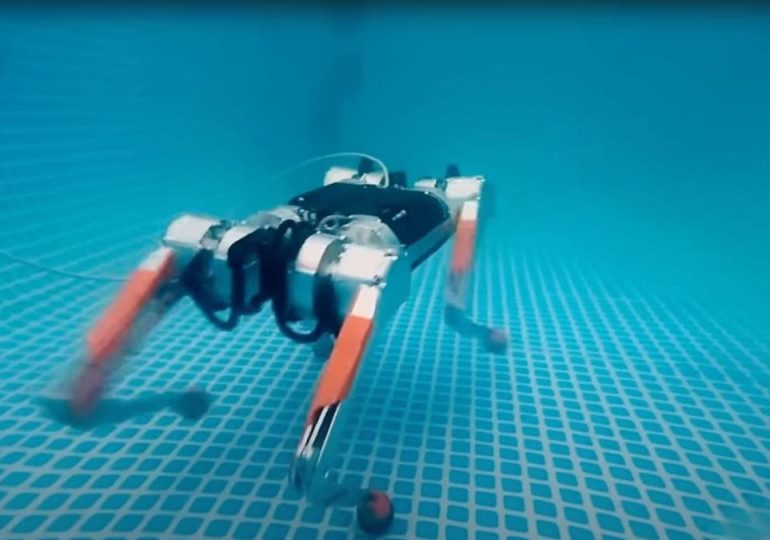 Robot dog is making waves with its underwater skills